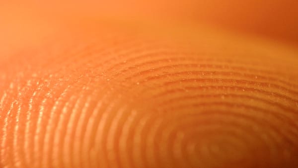 A set of inked fingerprints photographed in close detail on a plain card