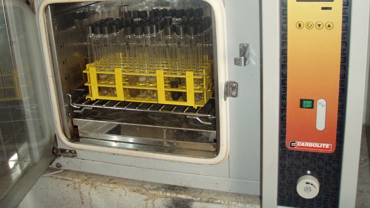 A rack of sample tubes standing inside a laboratory incubator